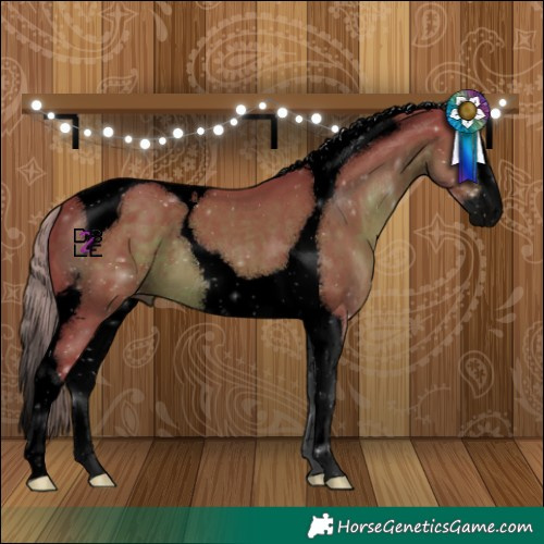 Horse Color:Void Watercolor Liver Chestnut Splash Tobiano 