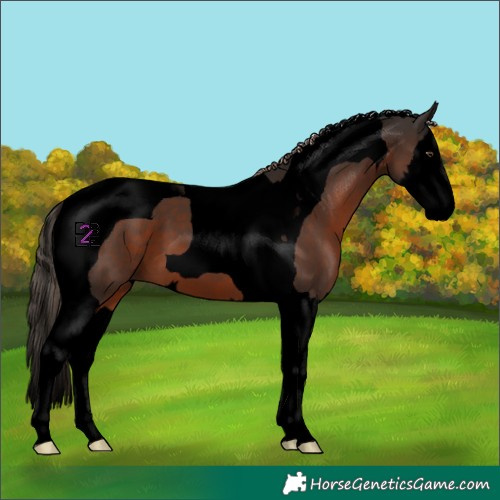 Horse Color:Void Liver Chestnut Splash Tobiano 