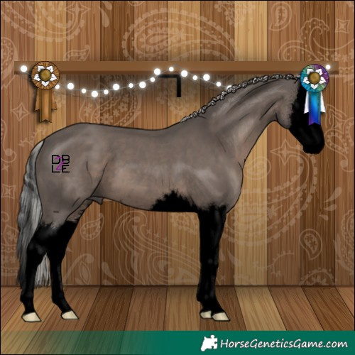 Horse Color:Void Silver Black Splash