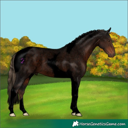 Horse Color:Void Liver Red Roan Tobiano 