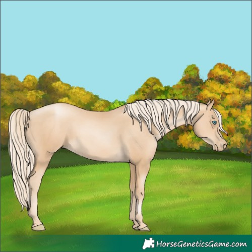 Horse Color:Gold Cream Champagne Pearl 
