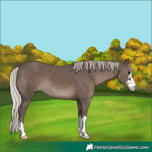 Horse Color:Silver Black 