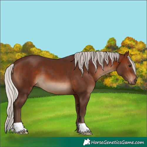 Horse Color:Silver Brown