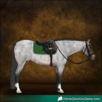 Horse Color:Brown Roan 