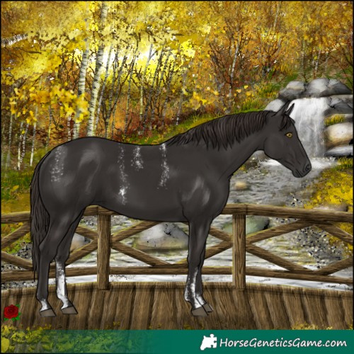 Horse Color:Powder White Liver Chestnut