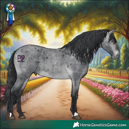 Horse Color:Brown Chinchilla Roan