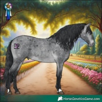 Horse Color:Brown Chinchilla Roan