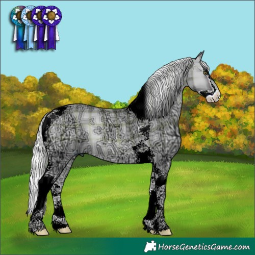 Horse Color:Plaid Silver Blue Onyx Chinchilla Ice Splash Tobiano