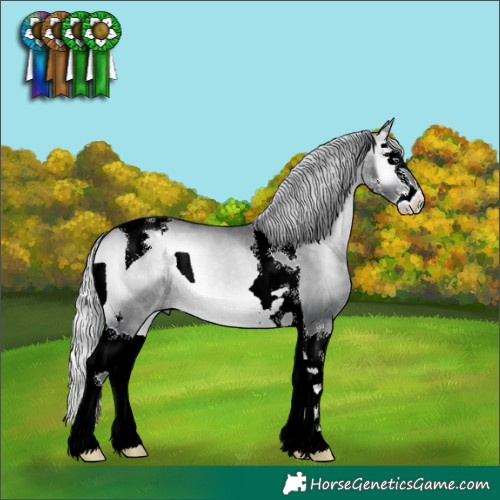 Horse Color:Silver Brown Chinchilla Onyx Sabino Splash Tobiano