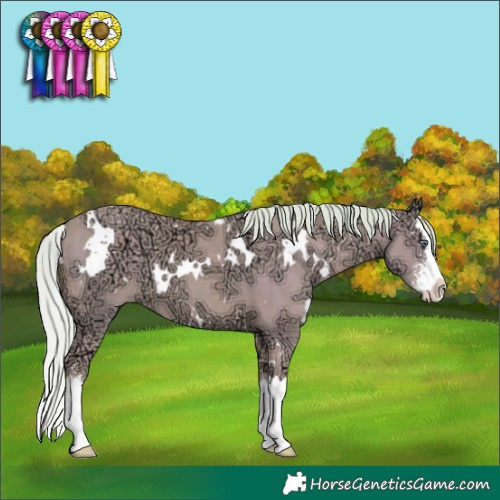 Horse Color:Watercolor White Spotted Silver Classic Champagne Chinchilla Ice Sabino Splash