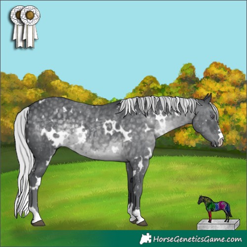 Horse Color:White Spotted Silver Black Chinchilla