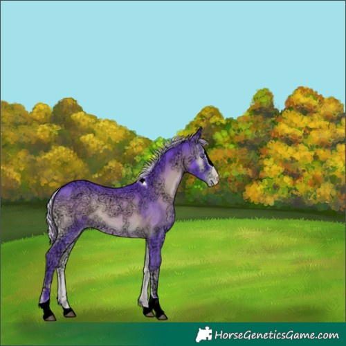 Horse Color:Watercolor Silver Blue Onyx Chinchilla Ice Splash Tobiano