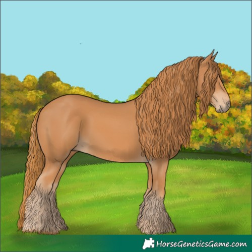 Horse Color:Chestnut 