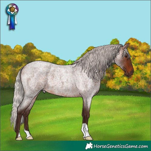 Horse Color:Silver Brown Roan 