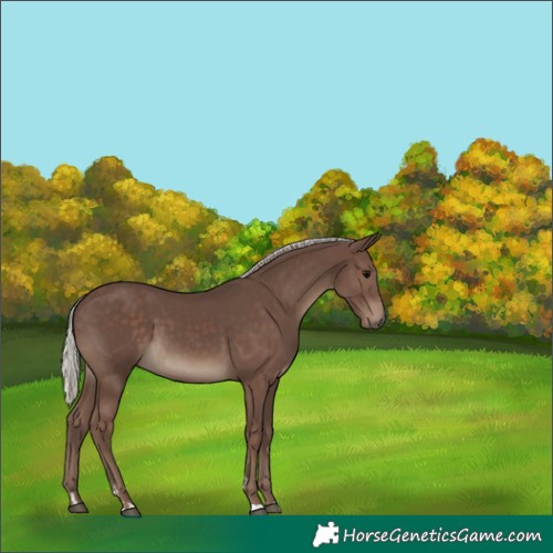 Horse Color:Silver Black 