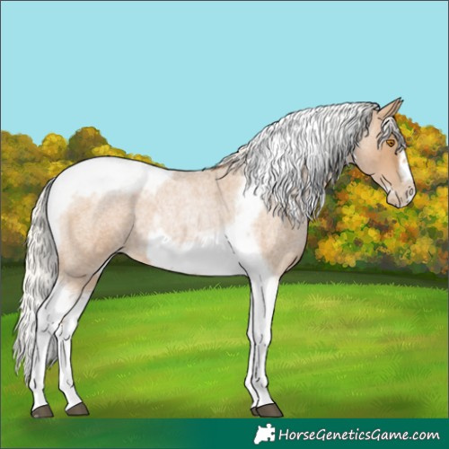 Horse Color:Silver Blue Roan Pearl Tobiano Frame 