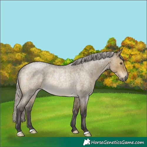 Horse Color:Silver Buckskin Roan Dun Rabicano 