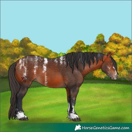 Horse Color:Powder White Bay