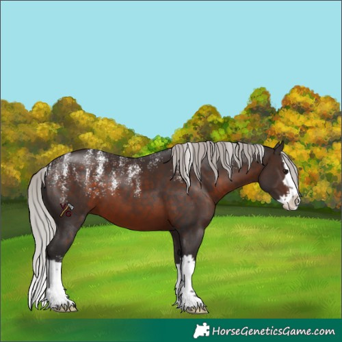 Horse Color:Powder White Silver Brown Splash