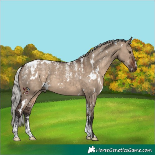 Horse Color:Powder White White Spotted Silver Brown Dun 