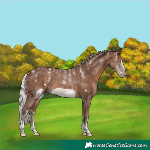Horse Color:Powder White Silver Black Frame 