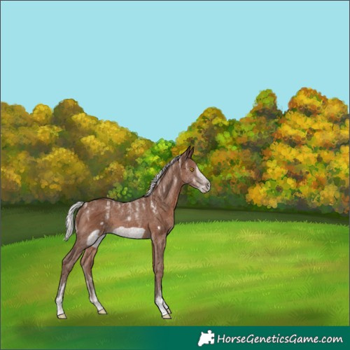 Horse Color:Powder White Silver Black Frame