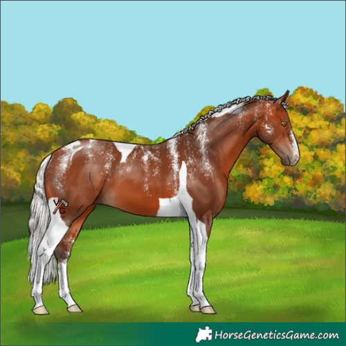 Horse Color:Powder White Silver Bay Tobiano