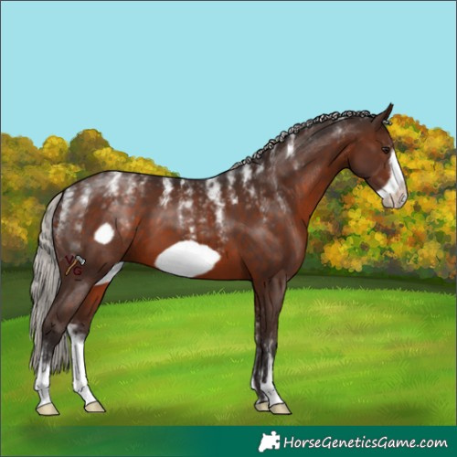 Horse Color:Powder White Silver Brown Frame