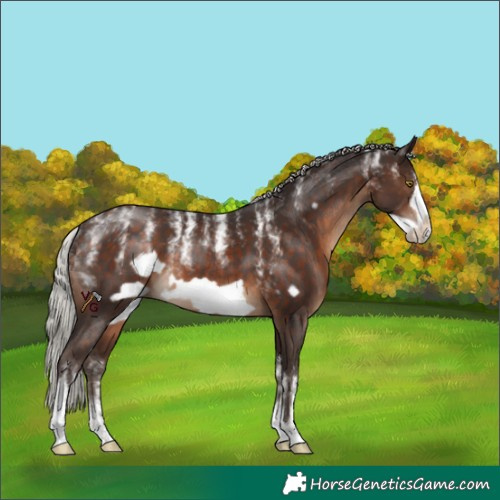 Horse Color:Powder White Silver Brown Frame