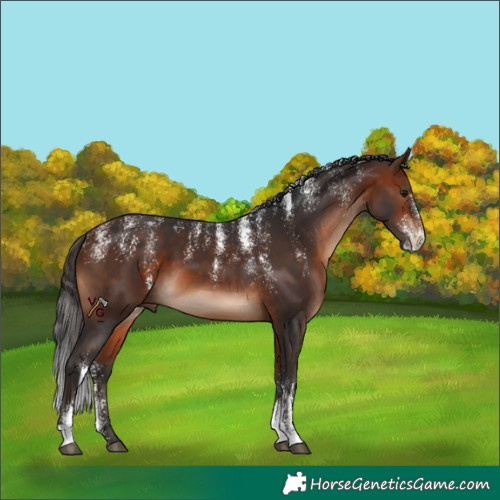 Horse Color:Powder White Bay
