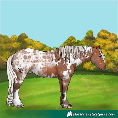 Horse Color:White Spotted Silver Brown Ice