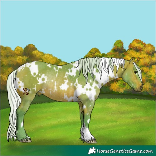 Horse Color:Watercolor White Spotted Silver Bay Rabicano