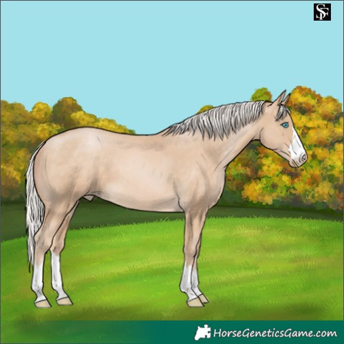 Horse Color:Silver Brown