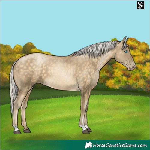 Horse Color:Silver Brown 