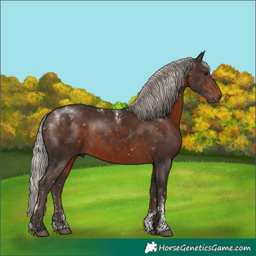 Horse Color:Powder White Silver Bay Rabicano 