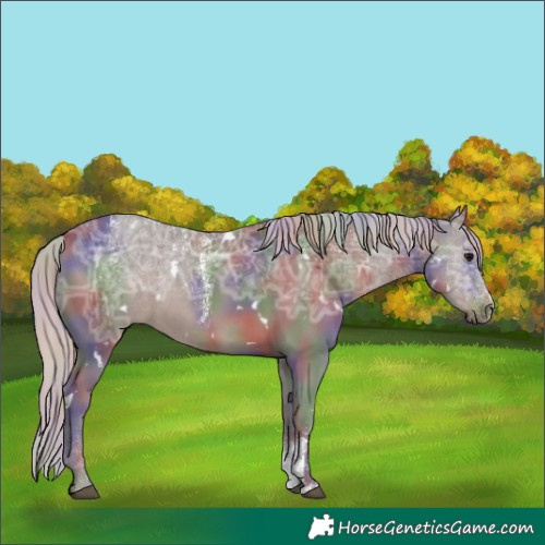 Horse Color:Powder White Nacre White Spotted Silver Black Ice