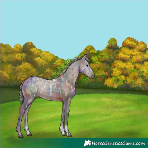 Horse Color:Powder White Nacre White Spotted Silver Black Ice 