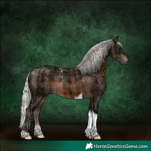 Horse Color:Powder White Plaid Silver Brown Ice Tobiano