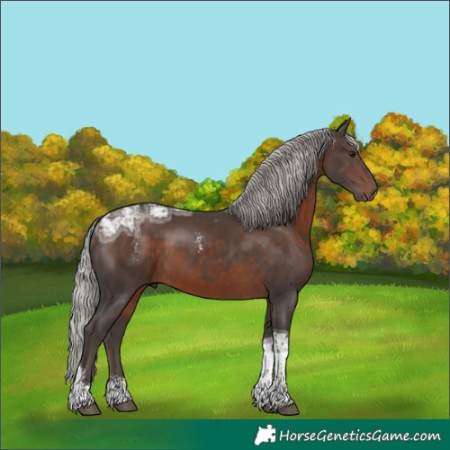 Horse Color:Powder White Silver Brown Ice Tobiano