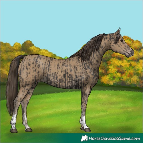 Horse Color:Smoky Black  and Classic Cream Champagne 