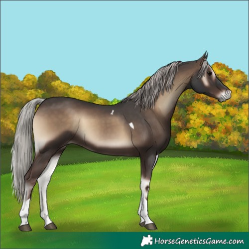 Horse Color:Silver Blue Onyx Tobiano 
