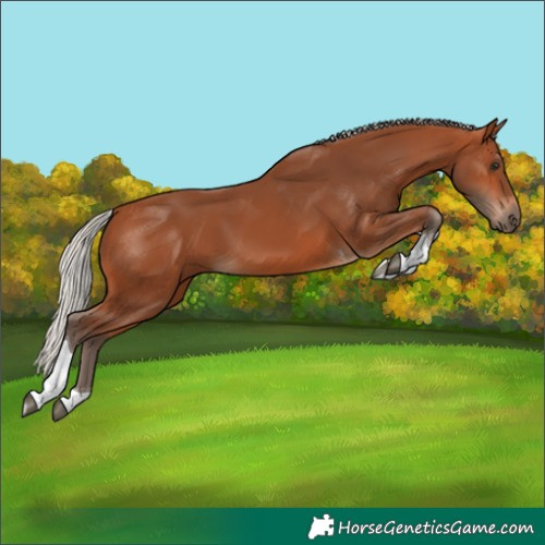 Horse Color:Silver Bay Tobiano