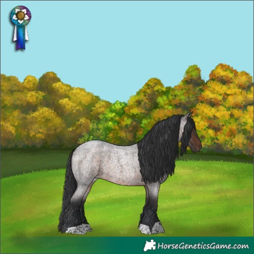 Horse Color:Brown Roan Rabicano