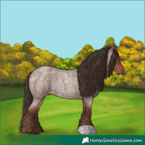 Horse Color:Liver Red Roan 