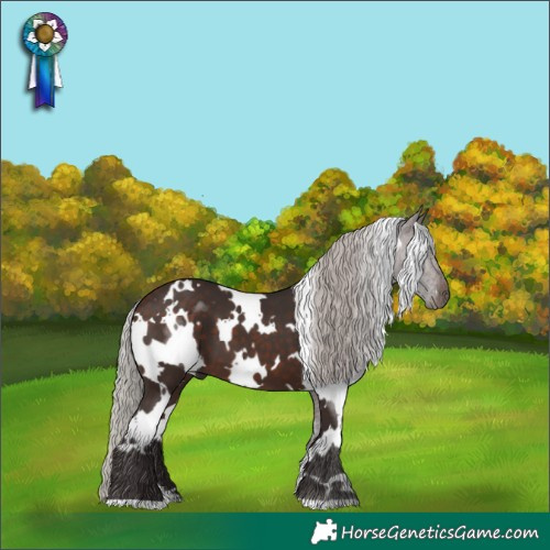 Horse Color:White Spotted Silver Brown