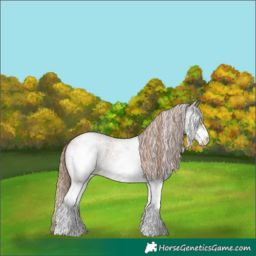 Horse Color:White Spotted Liver Red Dun Roan