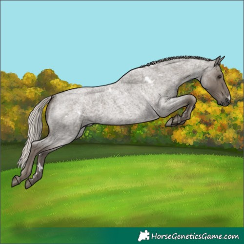 Horse Color:White Spotted Silver Smoky Blue Roan 