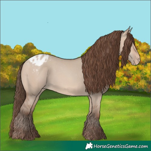 Horse Color:Sable Champagne Dun Appaloosa