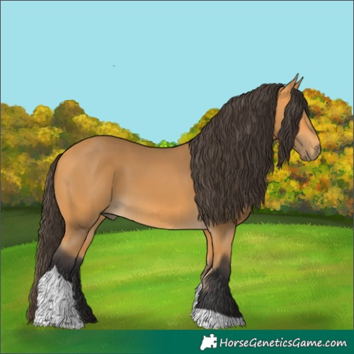 Horse Color:Buckskin Tobiano