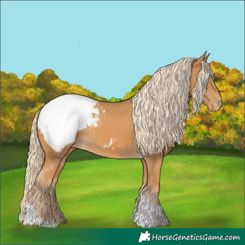 Horse Color:Palomino Tobiano Appaloosa